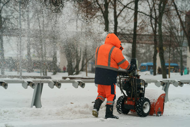 男はモスクワの公共公園で吹雪の後に道路を掃除します。 - frost work ストックフォトと画像