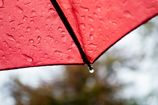 Raindrops on an umbrella. bottom-up view. Umbrella opposite nature. An umbrella covers the street. Red umbrella and rain. A drop hangs on the .