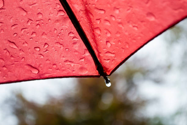 krople deszczu na parasolu. widok od dołu do góry. kropla wisi na parasolu. parasol pokrywa ulicę. czerwony parasol i deszcz. - decorative umbrella zdjęcia i obrazy z banku zdjęć
