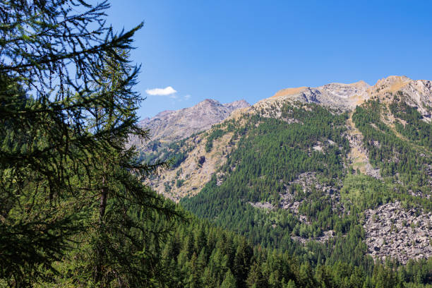 chaîne de montagnes des alpes italiennes par une journée d’été ensoleillée - vue de la végétation verte et du ciel bleu - grass area hill sky mountain range photos et images de collection