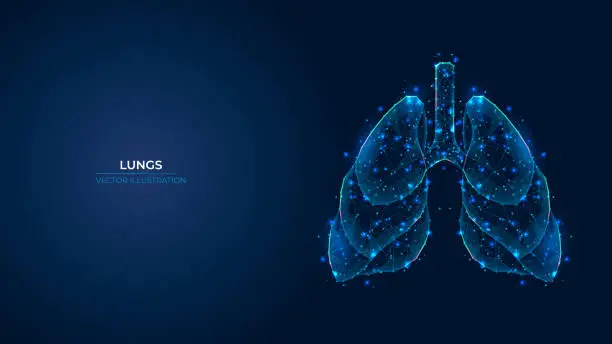 Vector illustration of Futuristic abstract symbol of the human lung. Concept blue respiratory system, pneumonia, asthma. Low poly geometric 3d wallpaper background vector illustration.
