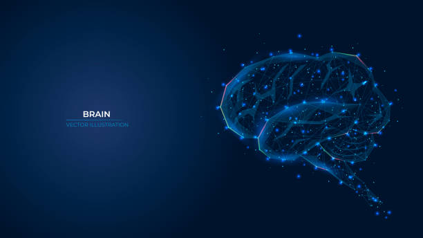 illustrazioni stock, clip art, cartoni animati e icone di tendenza di simbolo astratto futuristico del cervello umano. concetto di neuroni blu, intelligenza artificiale, medicina innovativa. illustrazione vettoriale di sfondo geometrica 3d a basso poli. - commozione cerebrale