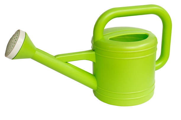 Plastic green Garden watering can isolated on white background.