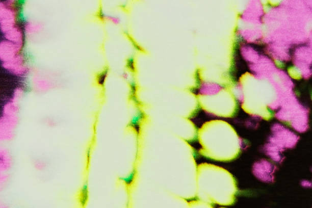istock Yellow, pink and green colors abstract hand painted tie dye texture 1438103912