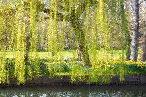 The River Cam in springtime at Cambridge.