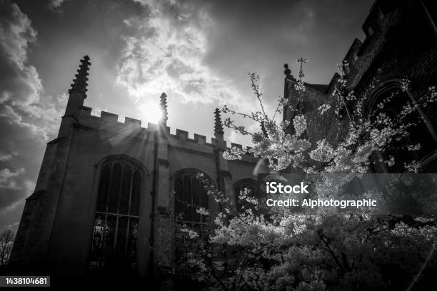 Cambridge Kings College Chapel Building Stock Photo - Download Image Now - Black And White, England, Gothic Style