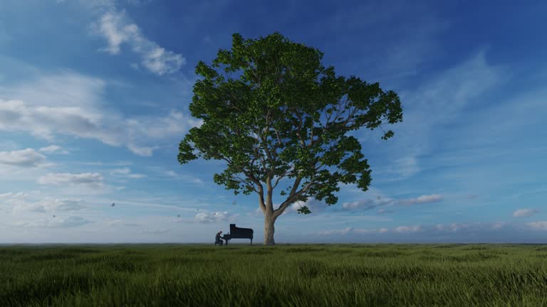 Piano performer under the tree of life against blue sky, 4K