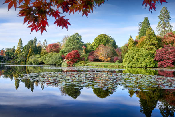 istock Sheffield Park Gardens in autumn 1438105311