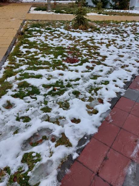 istock wet snow on the green tra 1438107490