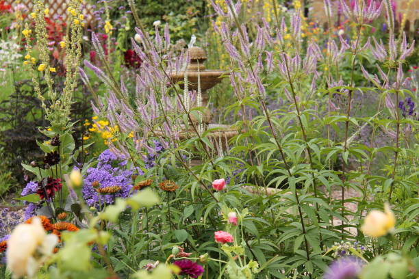 istock English Cottage Garden. 1438108764