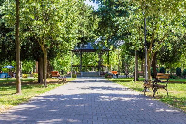 istock Park with a paved path leading to a gazebo surrounded by green trees in summer 1438112433