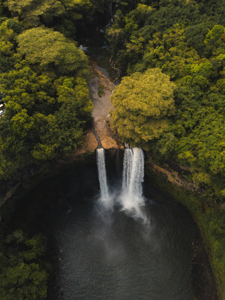 istock Beautiful waterfall streaming into the river surrounded by greens 1438112876