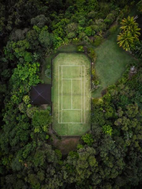 istock Vertical top shot of a stadium surrounded by trees and greenery 1438113470