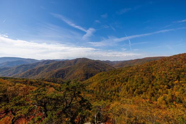 istock Autumn landscape forest with colorful leaves 1438113502