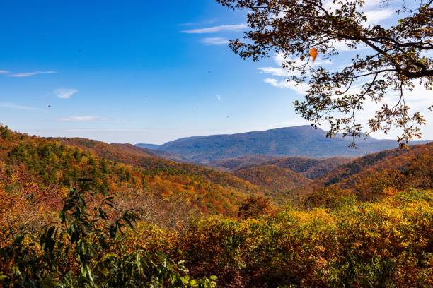 istock Autumn landscape forest with colorful leaves 1438113528