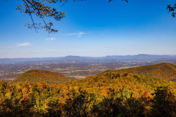 istock Autumn landscape forest with colorful leaves 1438113530
