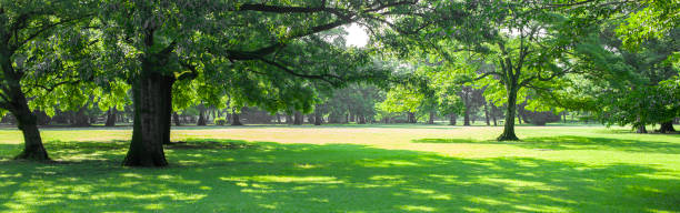 istock Banner image of green garden 1438113885