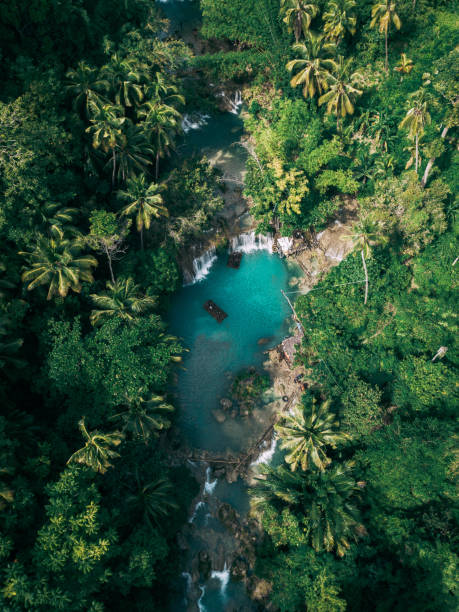 istock Beautiful waterfall streaming into the river surrounded by greens 1438114307