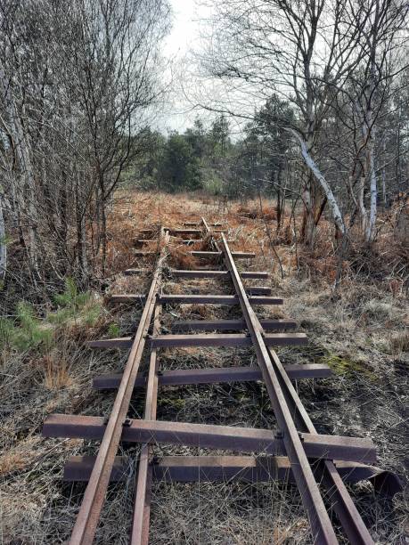 istock Vertical shot of old abandoned rails 1438116147