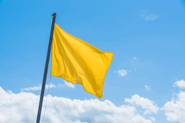 istock Waving green flag indicating the potentially high surf at the beach 1438116191