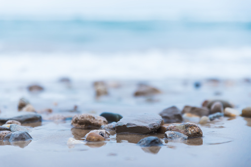 Seashell on the beach. Seascape background of empty sand beach, seashell, blue ocean waves, and mountains. Summer, vacation concept, copy space for the text