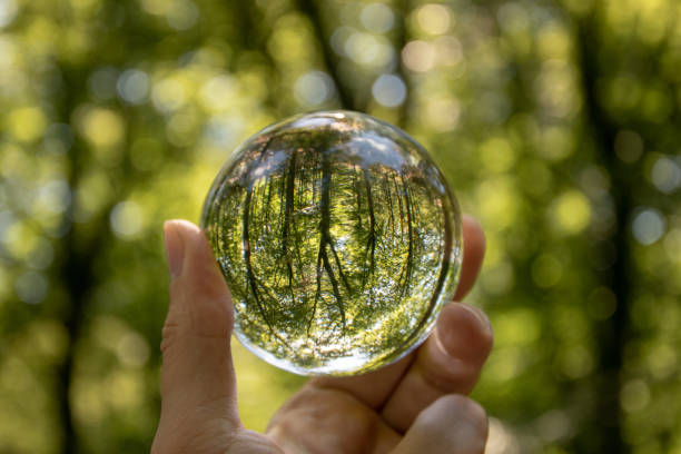 istock Crystal ball reflecting of nature 1438116526