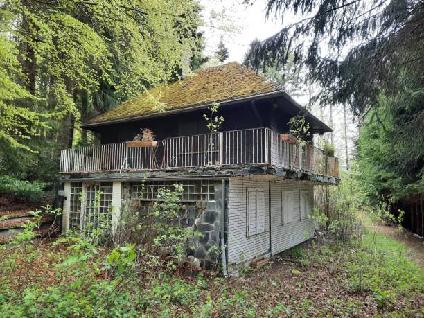 istock Old abandoned mountain forest cabin with a roof covered with moss 1438117615