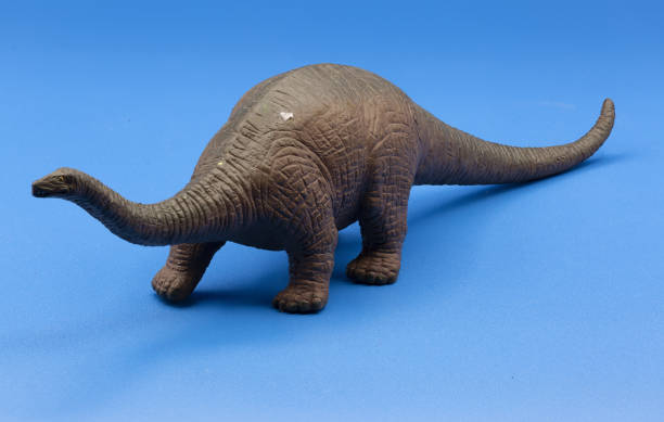 istock Closeup of a small model brachiosaurus, on a blue background 1438117711