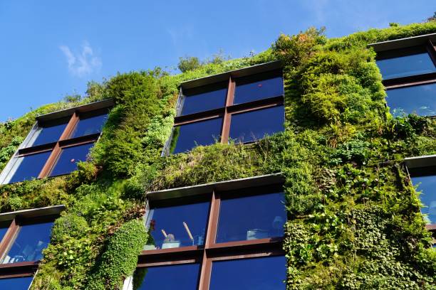 istock Low angle view of modern plant architecture on a sunny day 1438117848