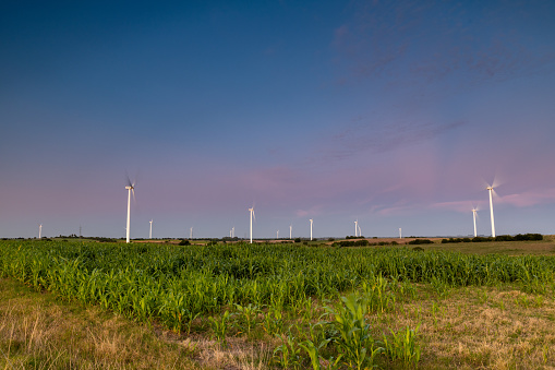 Countryside during the dusk, with a landscape of a windmill farm in Colonia, Uruguay.