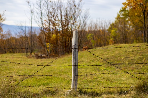 A barbed wire fence around a farmland on a hill