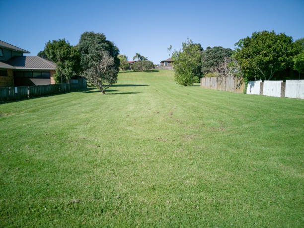istock Small natural reserve located between houses in Howick 1438119017