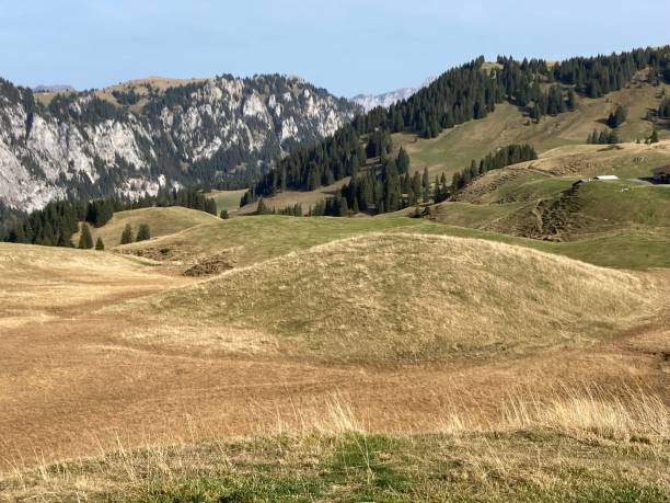 istock Swiss - Canton of Bern - Seebergsee 1438123393