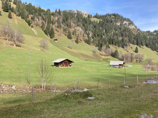 istock Swiss - Canton of Bern - Seebergsee 1438123873