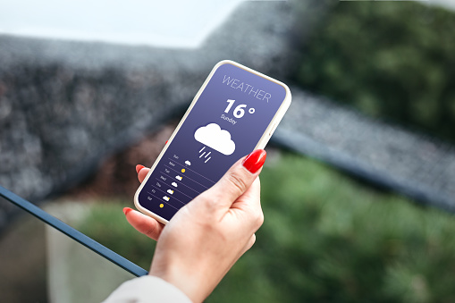rainy weather forecast. female hand holds a mobile phone and looks at the weather forecast for the day on a park with a trees background
