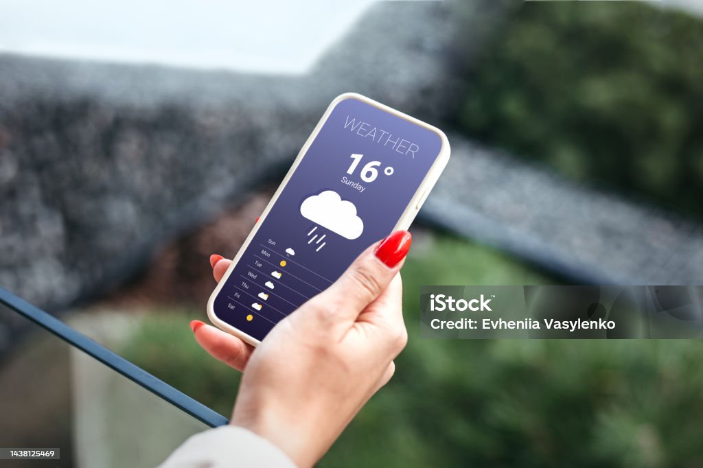 rainy weather forecast. female hand holds a mobile phone and looks at the weather forecast for the day on a park with a trees background rainy weather. weather forecast for autumn. female hand holds a mobile phone and looks at the weather forecast for the day on a park with a trees background Weather Stock Photo