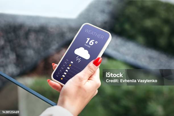 Rainy Weather Forecast Female Hand Holds A Mobile Phone And Looks At The Weather Forecast For The Day On A Park With A Trees Background Stock Photo - Download Image Now