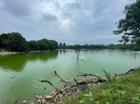 Stock photo showing close-up view of Hauz Khas (Royal Tank) reservoir built to meet the water supply requirements of the fort in Siri.