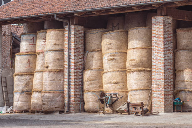 almacenamiento de pacas de heno en un edificio agrícola - animal husbandry industry dairy farm fotografías e imágenes de stock