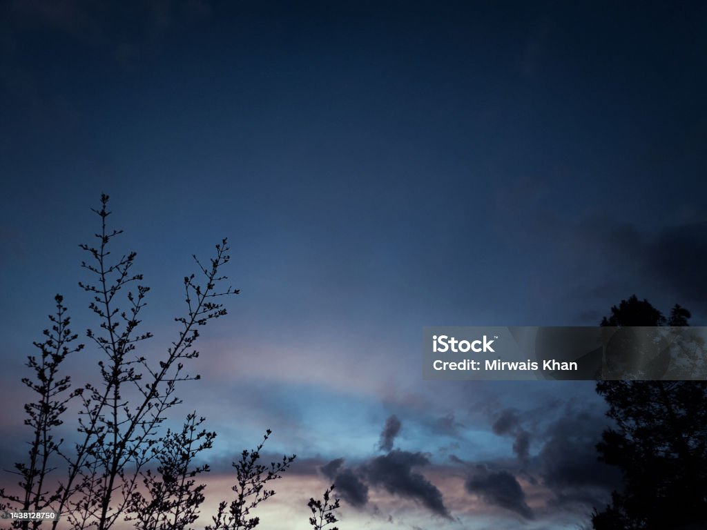 Tree silhouetted against a setting sun in Quetta Tree silhouetted against a setting sun in Quetta, Balochistan Backgrounds Stock Photo