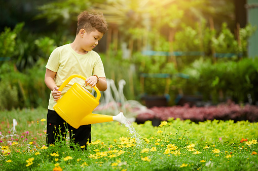 Little boy watering plants in gardening center on sunny day