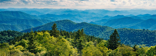 blue ridge parkway sommerlandschaft. - blue ridge mountains appalachian mountains appalachian trail forest stock-fotos und bilder