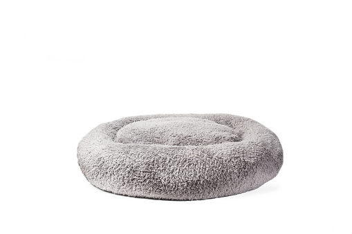 Dog cushion on a white background with copy space
