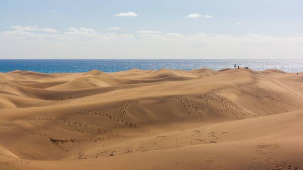 istock Maspalomas beach and sand dunes in Gran Canaria with the Atlantic Ocean background 1438134569