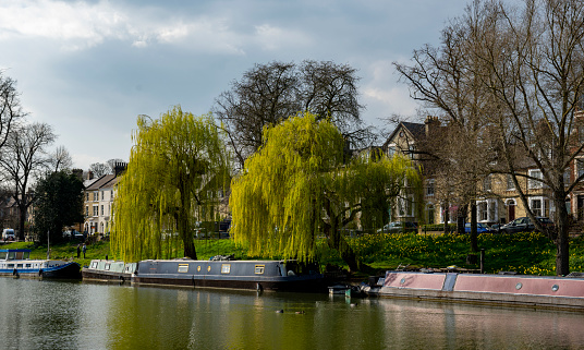 River Cam at Cambridge.