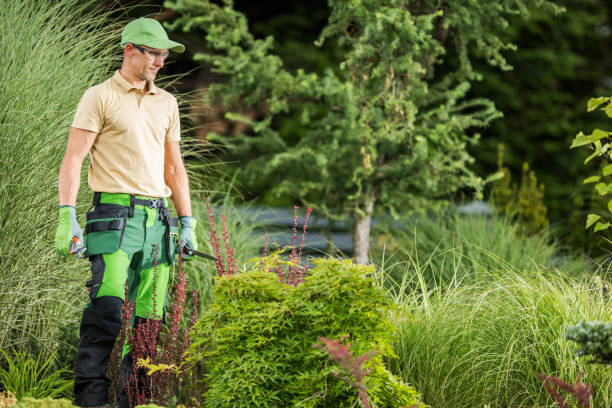 istock Gardener Proudly Looking at Finished Pruning Work 1438136964
