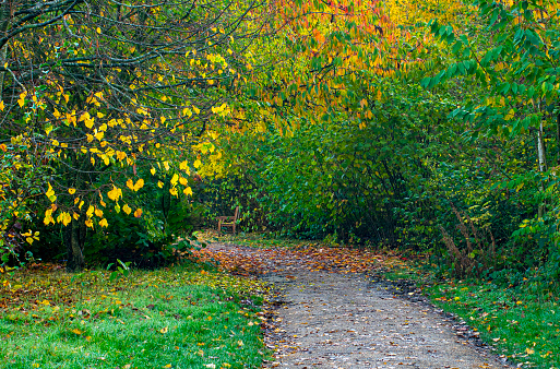Autumnal scene in a nature reserve.