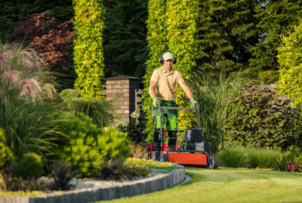 istock Garden Lawn Maintenance 1438142475