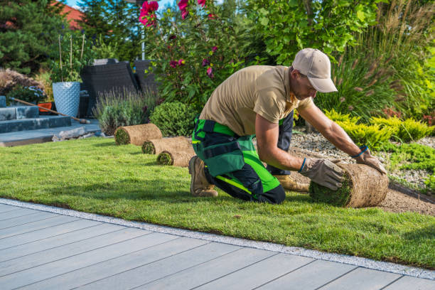 istock Professional Landscaper Installing New Grass Turfs in the Backyard Garden 1438143173