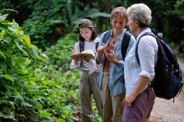 istock Young backpack hiking botany study woman walking in the forest and pay attention looking tree leave 1438143395